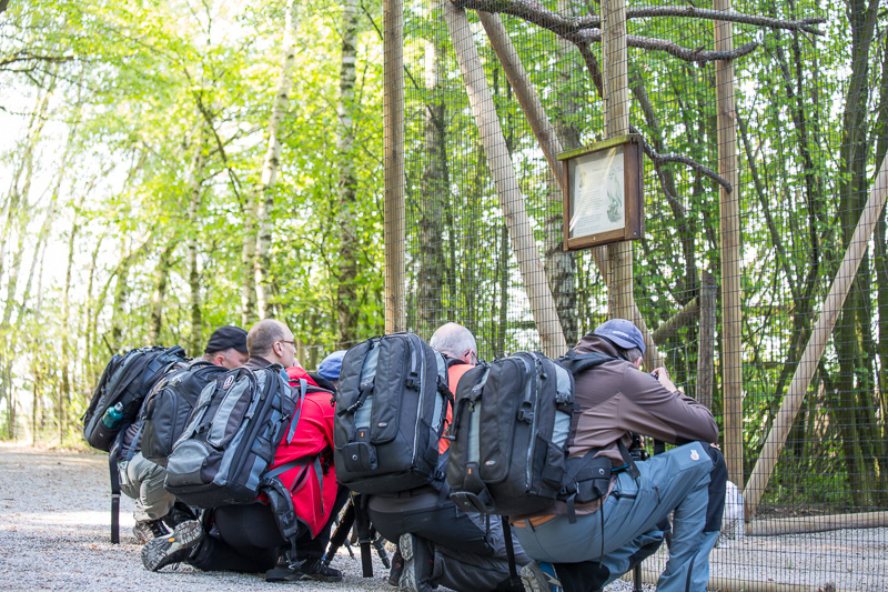 Fotografen in Action 003